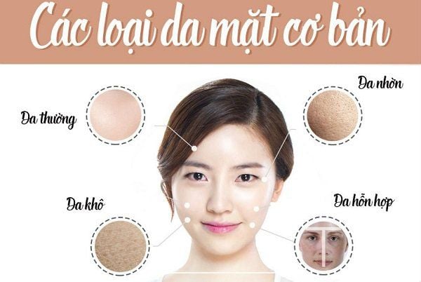 Lưu Nháp Tự động