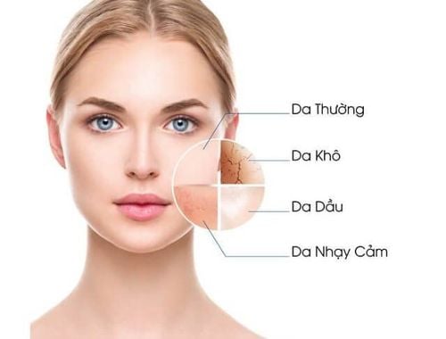 Da hỗn hợp và sản phẩm chăm sóc